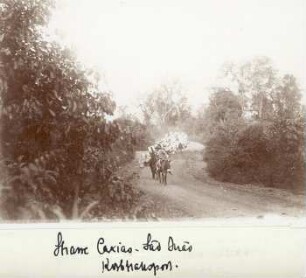 Korbtransport auf der Straße von Caxias nach São Juão