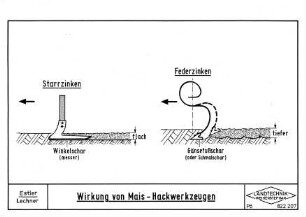 Wirkung von Mais-Hackwerkzeugen