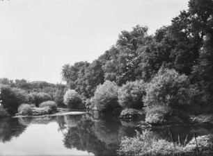 Leipziger Tieflandsbucht. Auwald der Luppe bei Horburg mit naturbelassener Flusslandschaft und artenreichem Laubmischwald