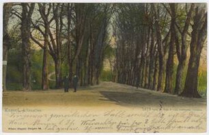 Kassel Karlsaue