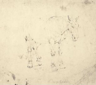 Pferdestudie : Klengel-Album von Kirchbach. Pferdestudie. Bleistiftzeichnung (vor 1824; J. C. Klengel)