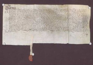 Simon Wag von Scherzheim verkauft dem Balthasar Marsteller zu Straßburg benannte Güter zu Helmlingen um 20 fl.