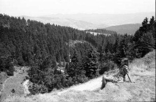 Vogesen: von der Route des Crêtes ins Tal beim Lac Vert