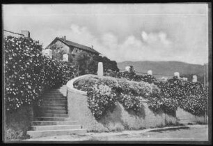 Kalifornien. North Entrance to to Grounds, University of California