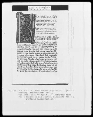 Sammelhandschrift — II, Martyrologium, Folio 5recto-49verso — ---, Folio ---Initiale K (alendas) und Initiale I (incipit) mit Drachen, Folio 5 recto