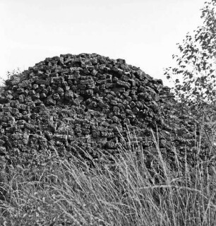 Nienwohlder Moor: Torfabbau: Torfmiete aus Torfsoden: im Vordergrund Gräser, rechts Strauch