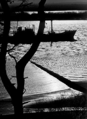 Hamburg-Blankenese. Blick vom Falkensteiner Ufer auf die Elbe. Ein Küstenmotorschiff fährt Richtung Nordsee