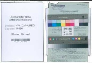 Entnazifizierung Michael Pfauter , geb. 00.00.0000 (Ingenieur)