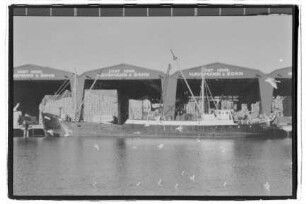Irene (1939), Thode, Hamburg