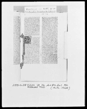 Biblia Latina — Initiale P (ost mortem), darin Josuas Tod, Folio 56recto