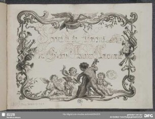 Il Trionfo d'Amore? Excerpts - Mus.3480-J-10,1 : S, strings, b