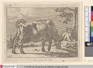 [Grasende Kuh, im Hintergrund eine liegende Kuh an einem Baum; The Grazing Cow]