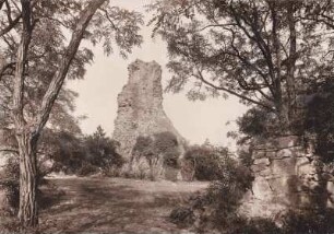 Burgruine. Landsberg bei Obermoschel 1905