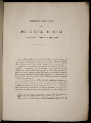 Contributo Allo Studio Della Pelle Degli Urodeli