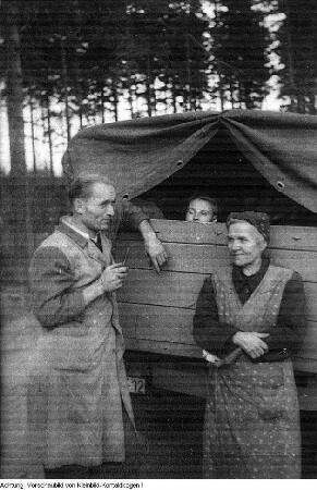 Dresden. Stukenroden für die frierende Bevölkerung im Winter 1946/47, 1947