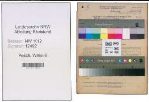 Entnazifizierung Wilhelm Pesch , geb. 25.01.1906 (Gartenmeister)