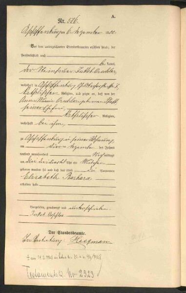 Standesamtsbuch der Stadt Aschaffenburg: Geburten 365/1900 - 184/1901