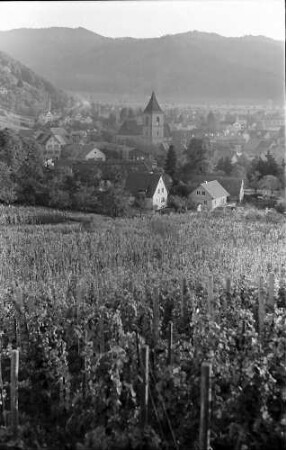 Staufen: Blick auf Staufen, Vordergrund Weinberg
