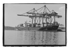 Livorno, Livorno Express