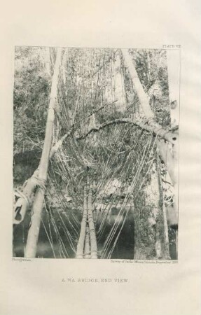 Plate VIII. A Wa bridge, end view