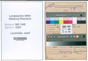 Entnazifizierung Josef Lippemeier , geb. 26.01.1900 (Kunstmaler)