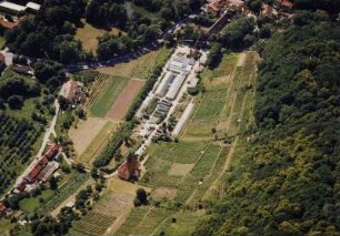 Stadtteilansicht mit Elbe und Elbinsel