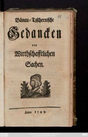 Bünau-Tzschernische Gedancken von Wirthschafftlichen Sachen