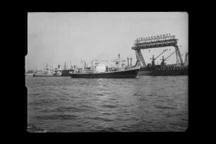 Babitonga (1953), Frachtschiff, HSDG, Hamburg, Bau-Nr. 449