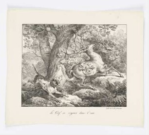 Le Cerf se voyant dans l’eau, Blatt aus: "La Fontaines Fabeln"