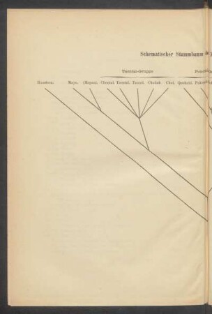 Schematischer Stammbaum der Maya-Sprachen.