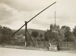 Waldfisch (Thür.)