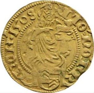 Münze, Goldgulden, 1508