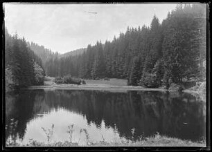 Knöpfelstaler Teich bei Ilmenau