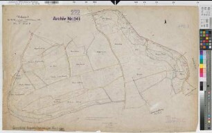 Langenholthausen (Balve), Blintrop (Neuenrade), Umlegung Langenholthausen-Blintrup, Bl.6 Urkarte II, Langenholthausen Flur 7