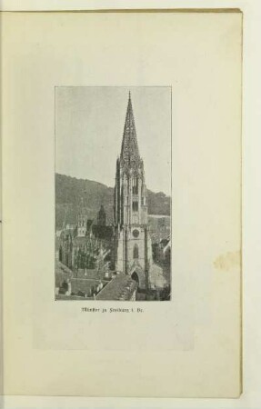 Münster zu Freiburg i. Br.