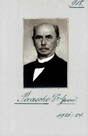 Paasche, Hermann, DVP