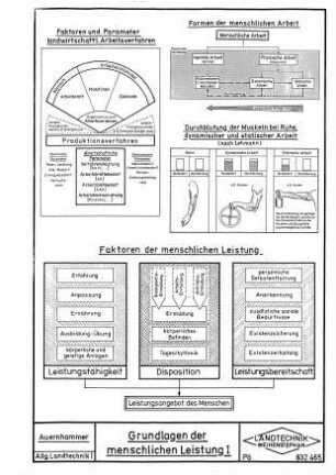 Grundlagen der menschlichen Leistung I