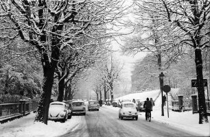 Freiburg: Werderstraße im Schnee mit Bäumen