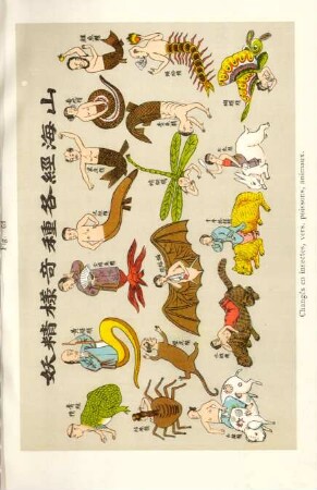 Fig. 61. Changés en insectes, vers, poissons, animaux