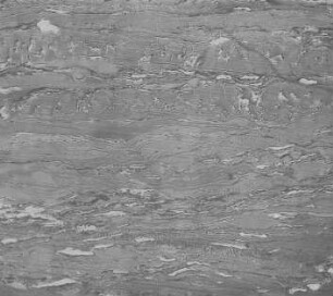 Clarain (Jeffrey) : Geologie | Kohlengeologie | Das mikroskopische Bild der Kohle (Mikroskopische Kohlenpetrographie)