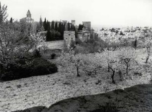 Blick von der Genralife zur Alhambra, Granada