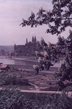 Meißen. Blick über die Elbe zur Burg