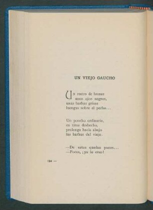 Un viejo gaucho