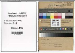 Entnazifizierung Max Blossei , geb. 08.04.1892 (Handlungsagent)