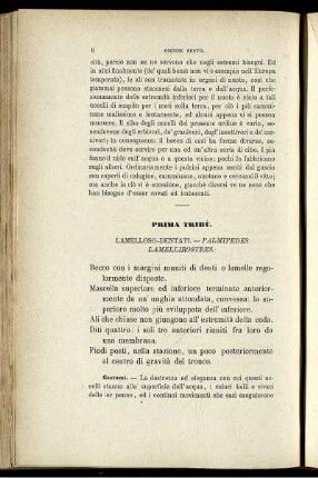 Prima Tribù. Lamelloso-Dentati. - Palmipedes Lamellirostres.