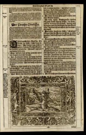 Der Prophet Obadja.