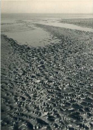 Landschaft im Wattenmeer