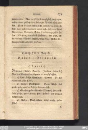 Siebzehntes Kapitel. Salat-Pflanzen.