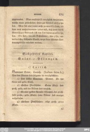 Siebzehntes Kapitel. Salat-Pflanzen.