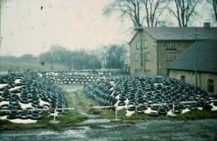 Fotografie: Lagertechnik, Flachsilo, Siloabdeckung, Reifen